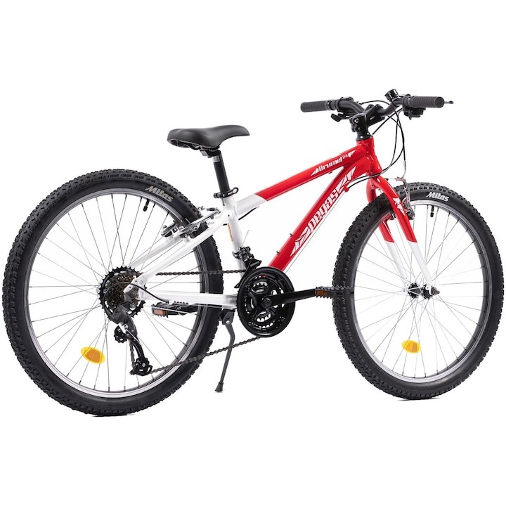 BF EXPRESS: Pentru cei mici pasionai de pedalat, bicicleta <b>Pegas