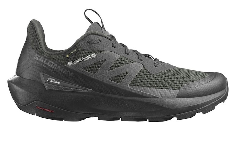 BF EXPRESS: Pantofii <b>Salomon Elixir Activ Goretex</b> pentru